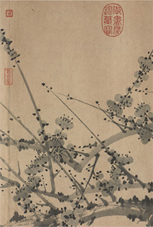 A Breath of Spring